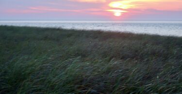 Race Point July sunset