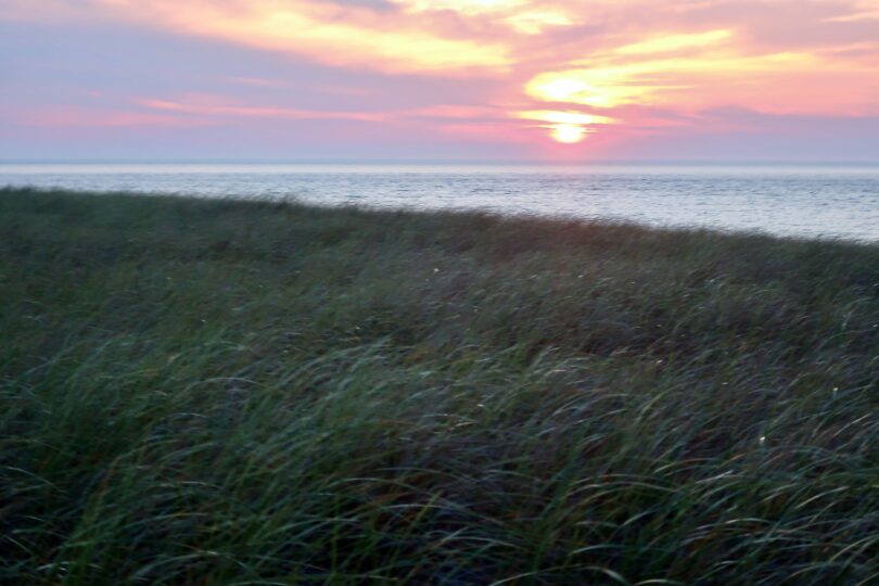 Race Point July sunset