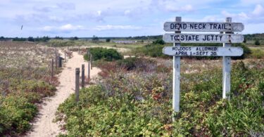 South Cape Beach