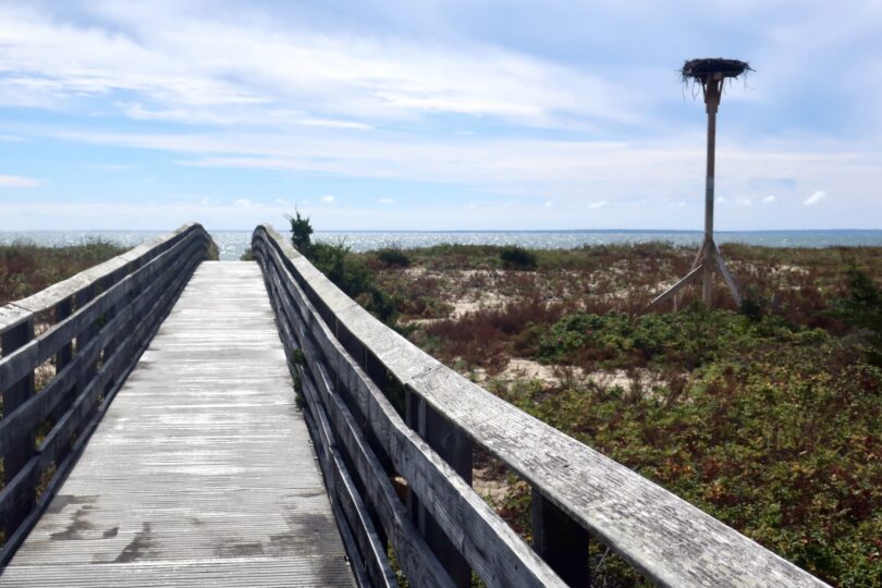 South Cape Beach