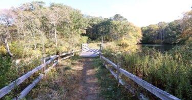 Cook's Farm