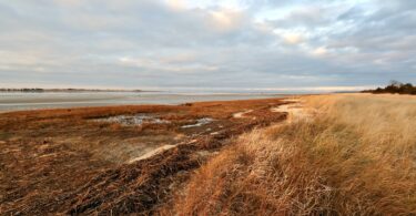 Long Pasture, Barnstable