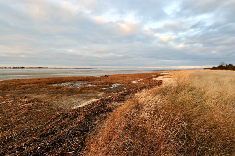 Long Pasture, Barnstable