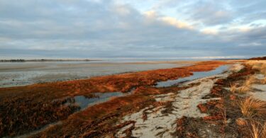 Long Pasture, Barnstable