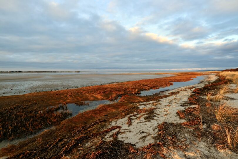 Long Pasture, Barnstable