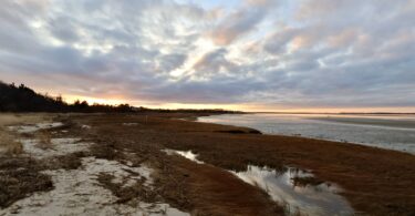 Long Pasture, Barnstable