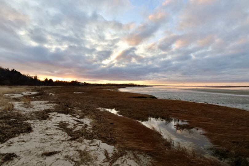 Long Pasture, Barnstable