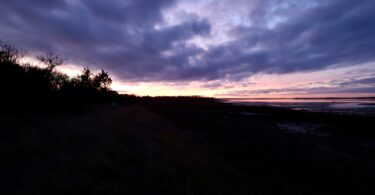 Long Pasture, Barnstable