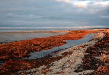 Long Pasture, Barnstable