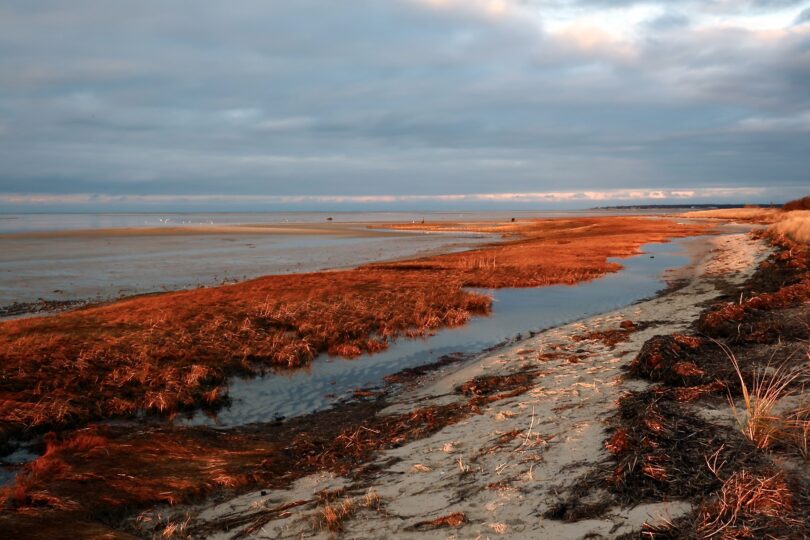 Long Pasture, Barnstable