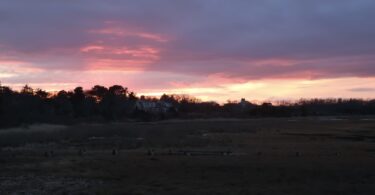 Long Pasture, Barnstable