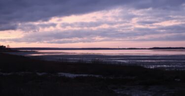 Long Pasture, Barnstable