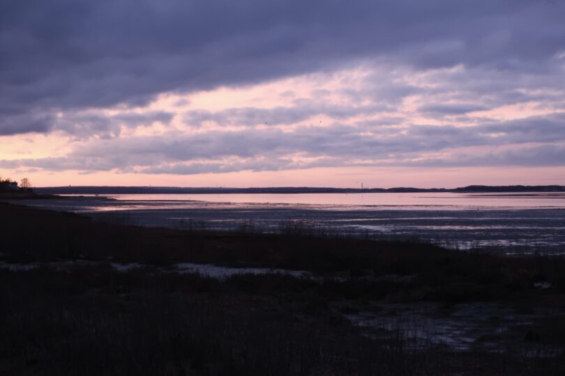 Long Pasture, Barnstable