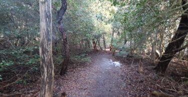 Eddy Bay Trail, Brewster