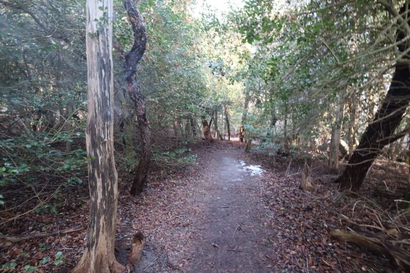 Eddy Bay Trail, Brewster