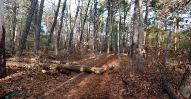 Eddy Bay Trail, Brewster