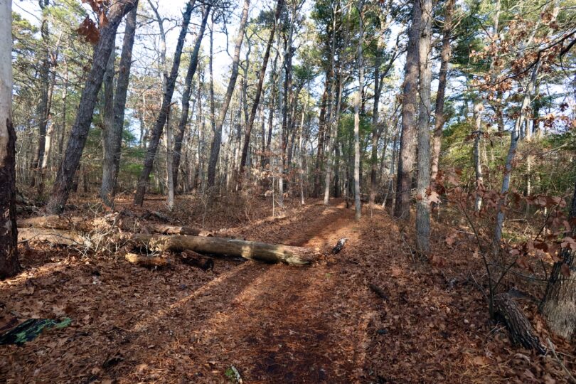 Eddy Bay Trail, Brewster