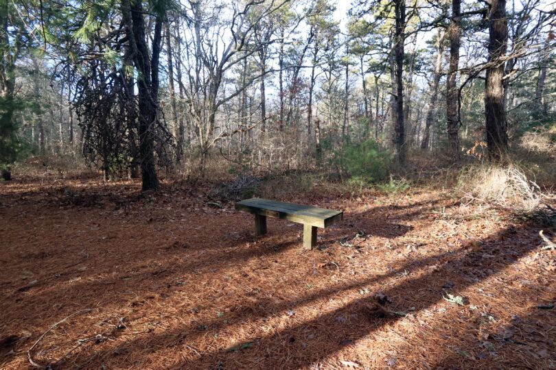 Eddy Bay Trail, Brewster