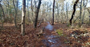Eddy Bay Trail, Brewster