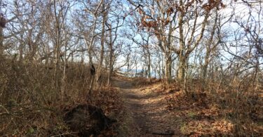 Eddy Bay Trail, Brewster