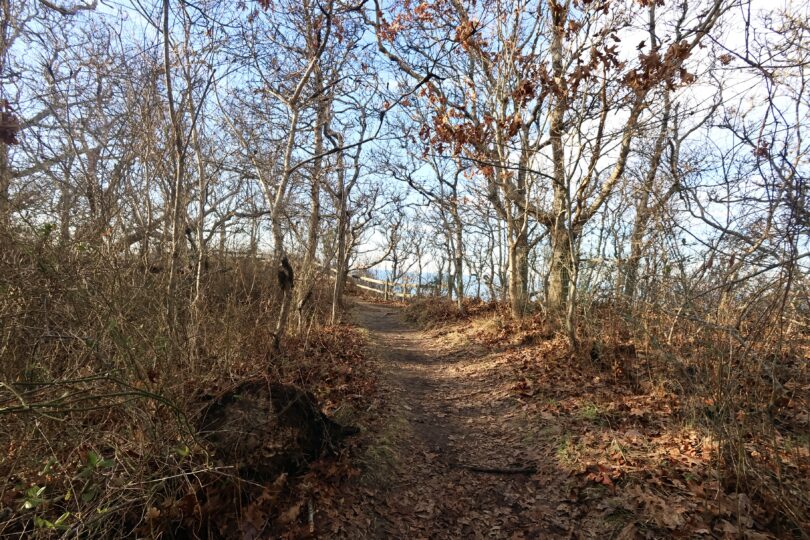 Eddy Bay Trail, Brewster