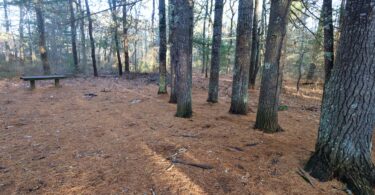Eddy Bay Trail, Brewster