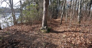 Fresh Pond Conservation Land, Dennis