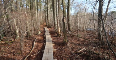 Fresh Pond Conservation Land, Dennis