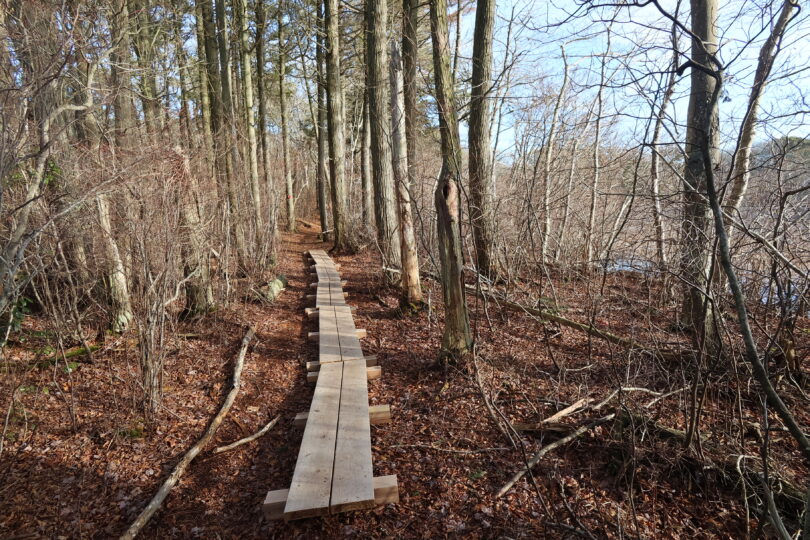 Fresh Pond Conservation Land, Dennis