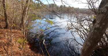 Fresh Pond Conservation Land, Dennis