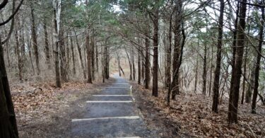 Fort Hill, Red Maple Swamp