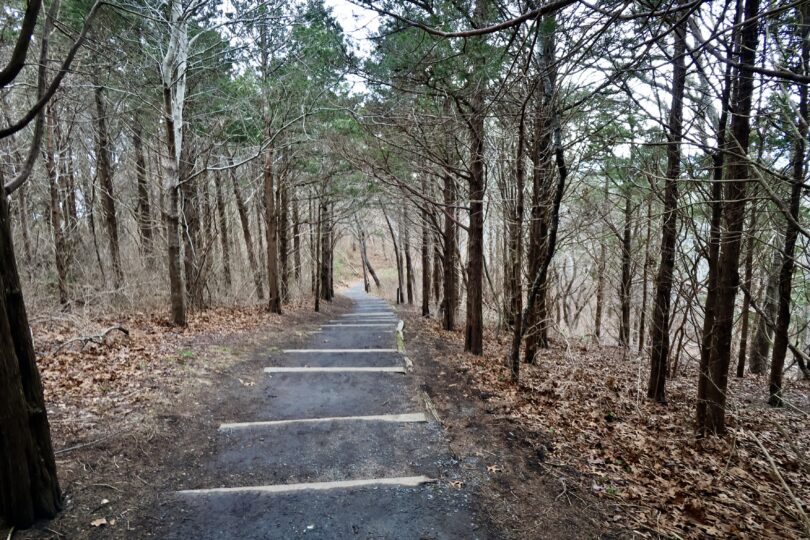 Fort Hill, Red Maple Swamp