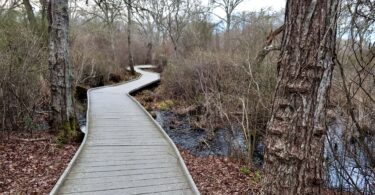 Fort Hill, Red Maple Swamp