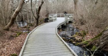 Fort Hill, Red Maple Swamp