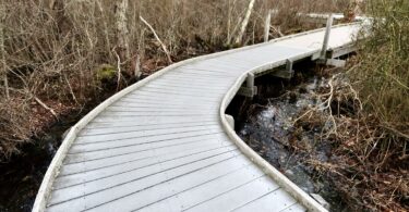 Fort Hill, Red Maple Swamp