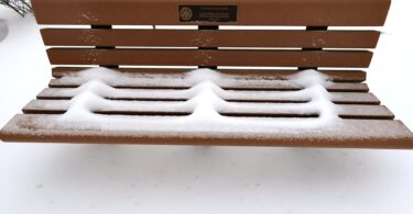 Falmouth January 2026 snowstorm