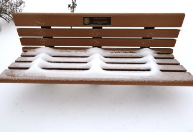 Falmouth January 2026 snowstorm