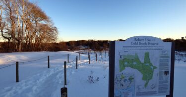 Robert F. Smith Cold Brook Preserve