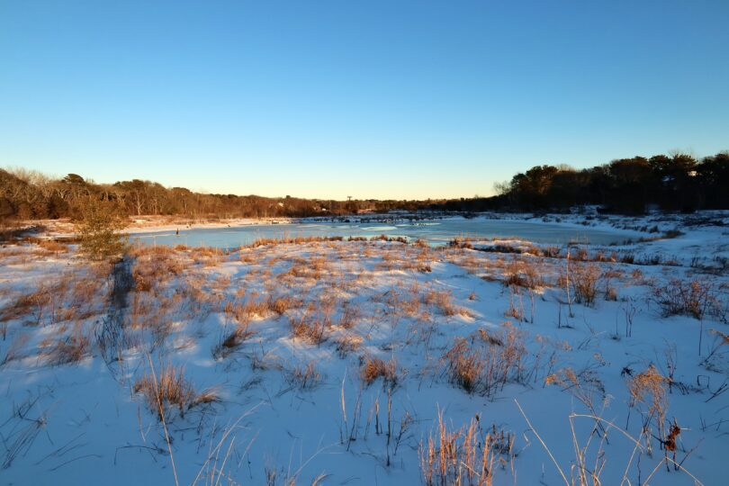 Robert F. Smith Cold Brook Preserve