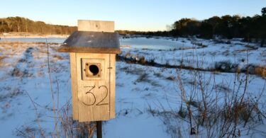 Robert F. Smith Cold Brook Preserve