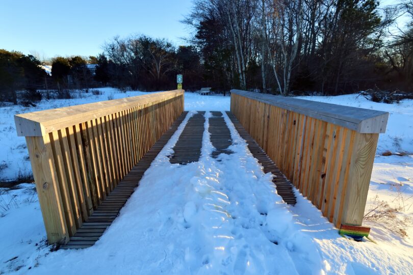 Robert F. Smith Cold Brook Preserve