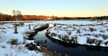 Robert F. Smith Cold Brook Preserve