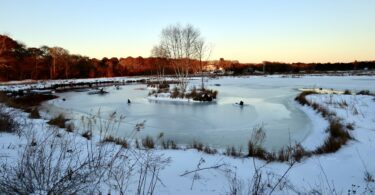 Robert F. Smith Cold Brook Preserve