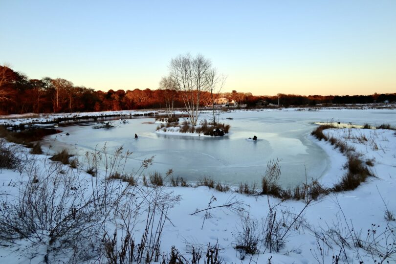 Robert F. Smith Cold Brook Preserve