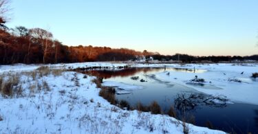 Robert F. Smith Cold Brook Preserve