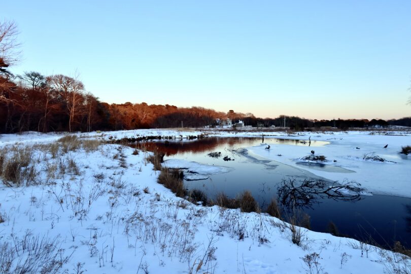 Robert F. Smith Cold Brook Preserve