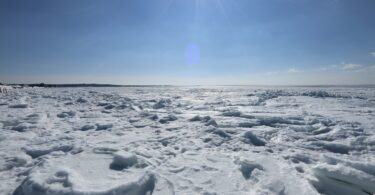 Frozen Chapoquoit Beach