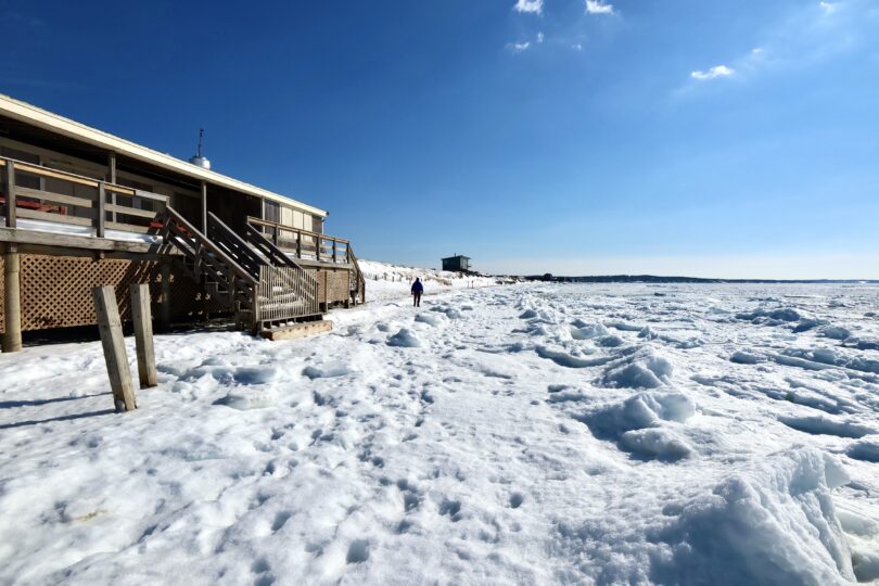 Frozen Chapoquoit Beach