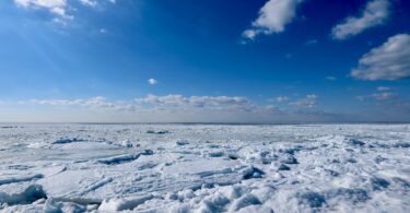 Frozen Chapoquoit Beach