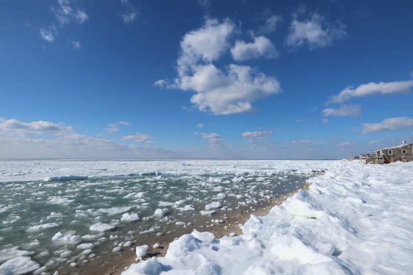 Frozen Chapoquoit Beach
